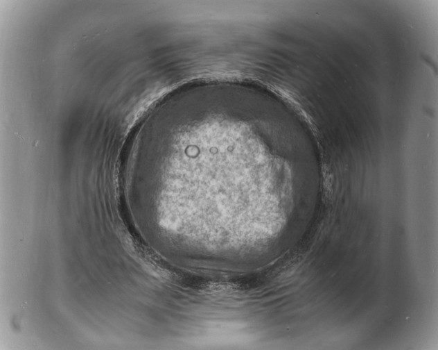 X0000102780487200809021056