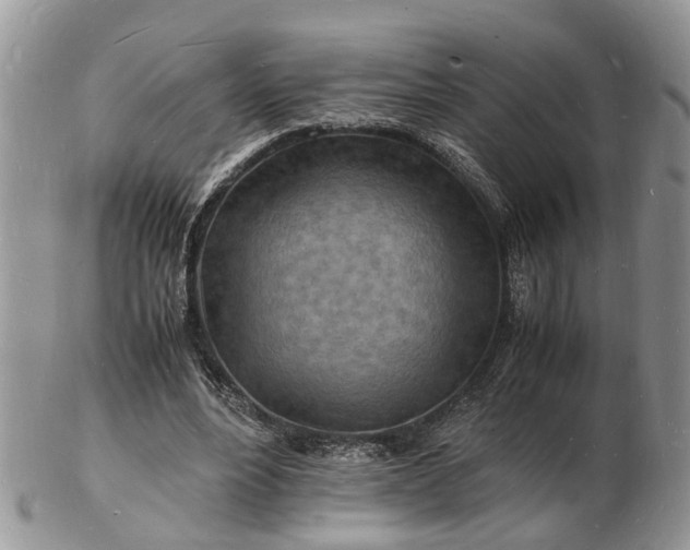 X0000102780488200809021056