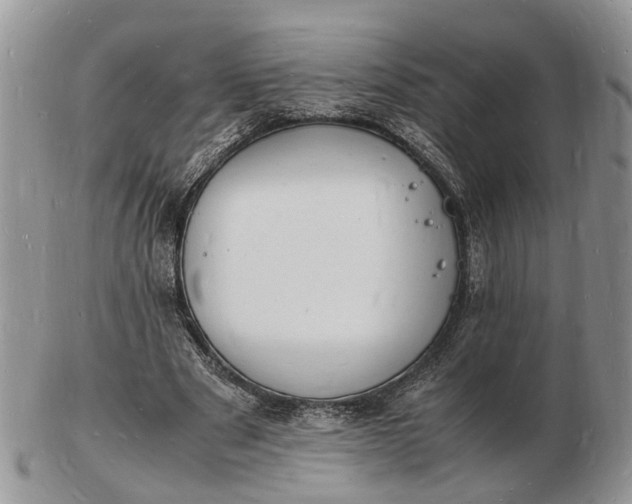 X0000102780489200809021056