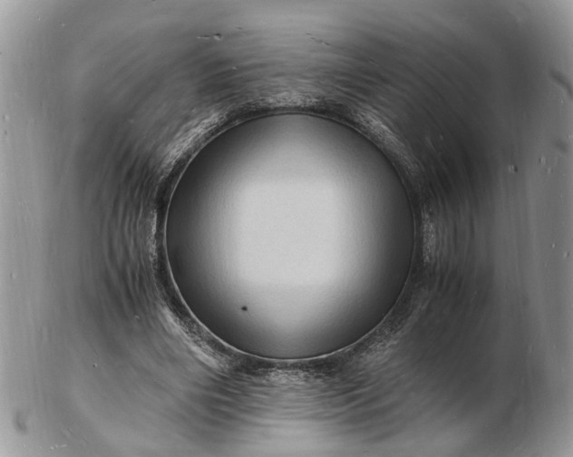 X0000102780490200809021056