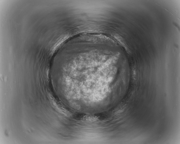 X0000102780491200809021056