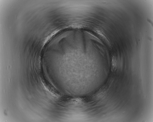 X0000102780492200809021056