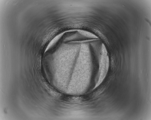 X0000102780493200809021056