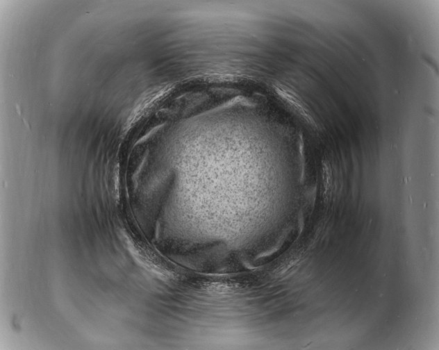 X0000102780494200809021056