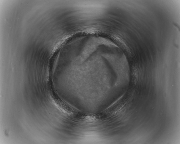 X0000102780496200809021055