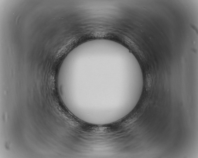 X0000102780497200809021055