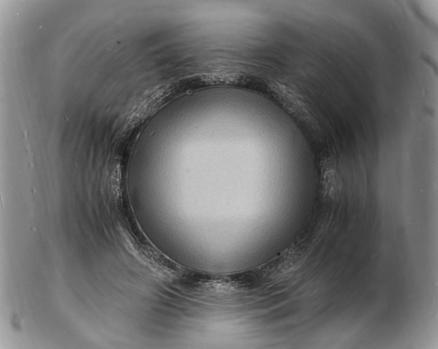 X0000102780498200809021055