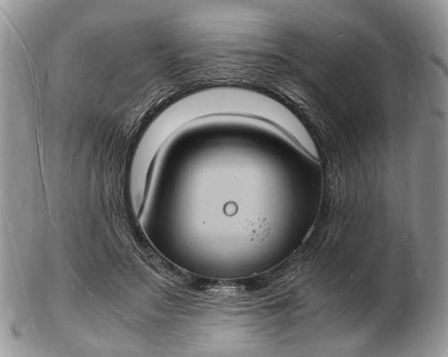 X0000102780499200809021055