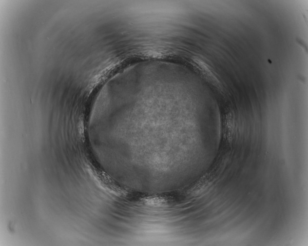 X0000102780500200809021055