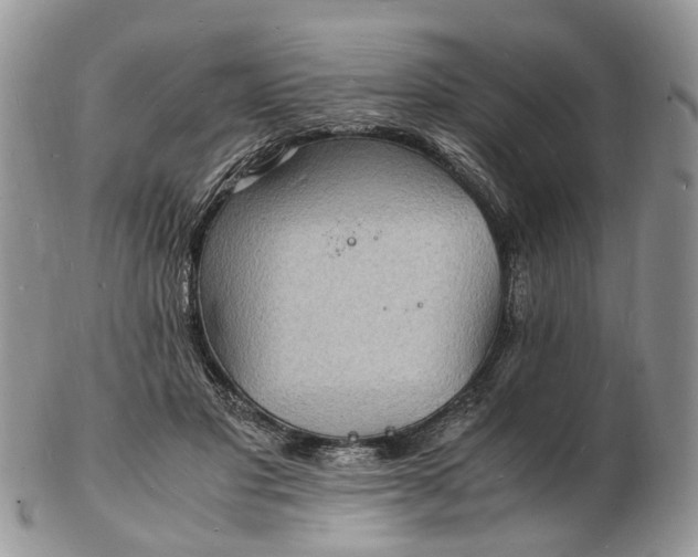 X0000102780501200809021055