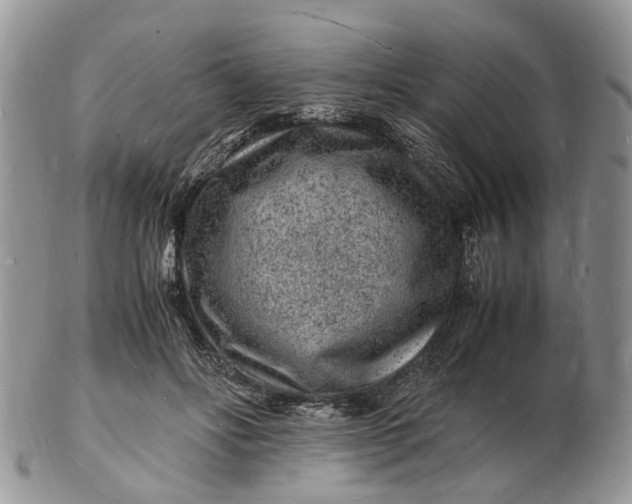 X0000102780502200809021055