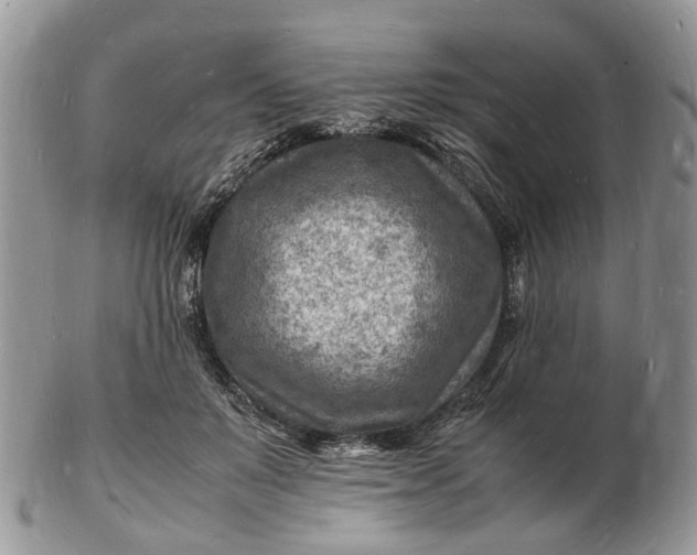 X0000102780503200809021055