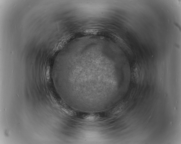 X0000102780504200809021055