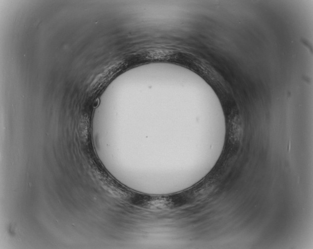 X0000102780505200809021055