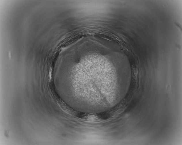 X0000102780507200809021055