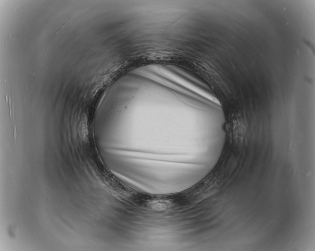 X0000102780508200809021055