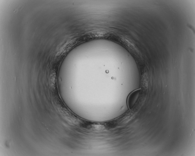 X0000102780509200809021055