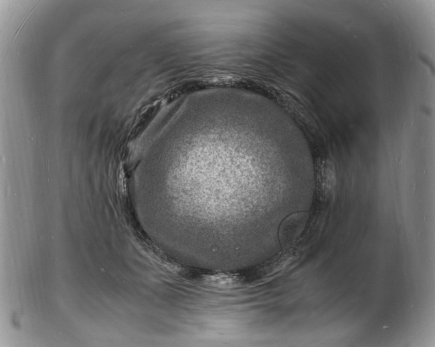 X0000102780511200809021055