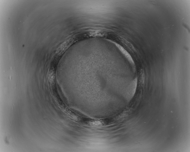 X0000102780513200809021055