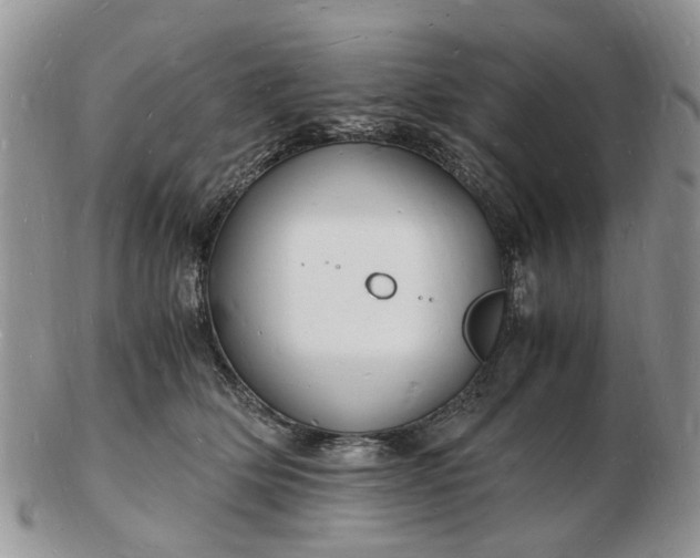 X0000102780514200809021055