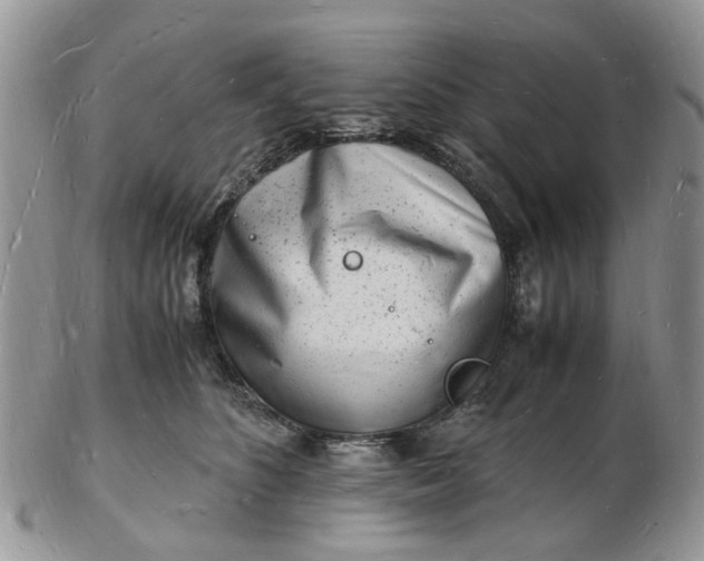 X0000102780516200809021055