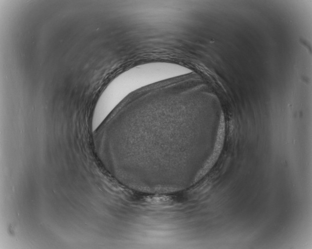 X0000102780517200809021055