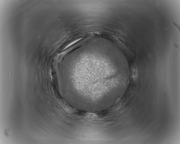 X0000102780519200809021055