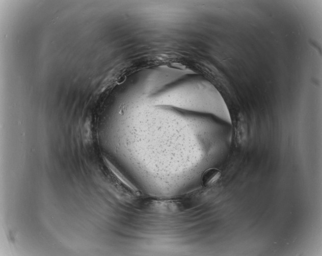 X0000102780520200809021055