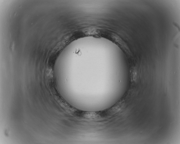 X0000102780521200809021055