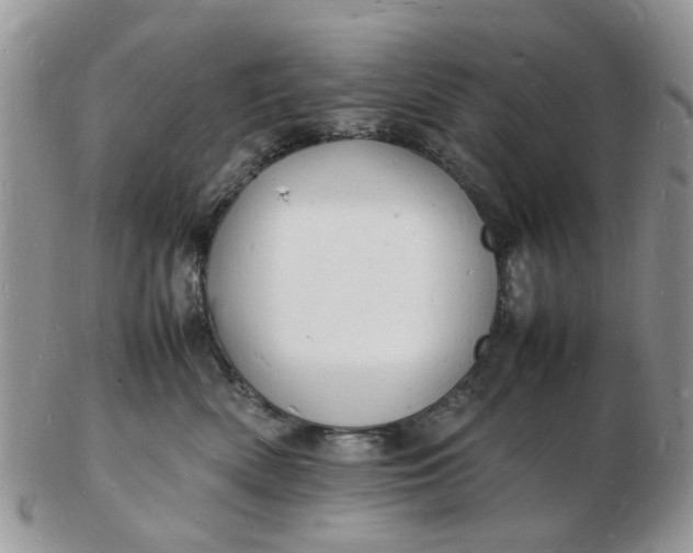 X0000102780522200809021055