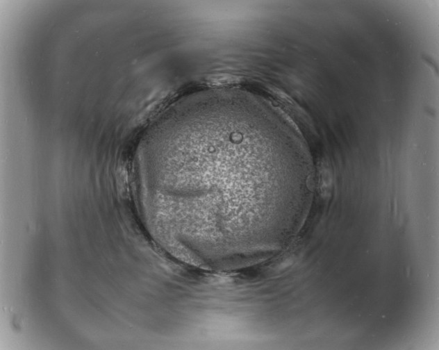 X0000102780523200809021055