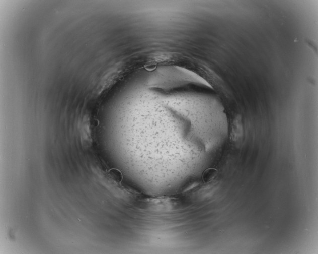 X0000102780524200809021055