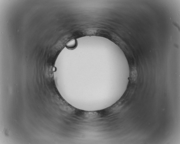 X0000102780525200809021055