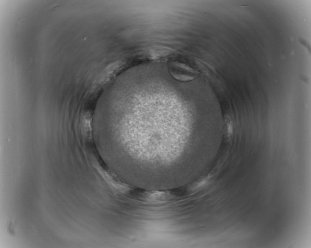 X0000102780527200809021055