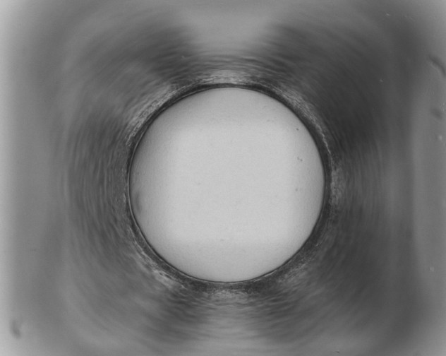 X0000102780529200809021054