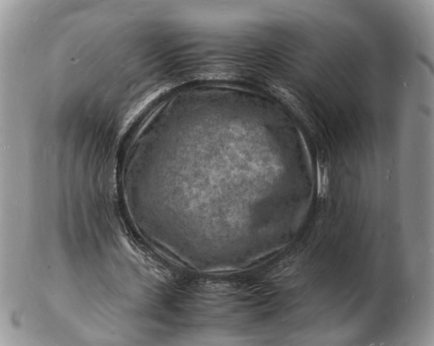 X0000102780531200809021054