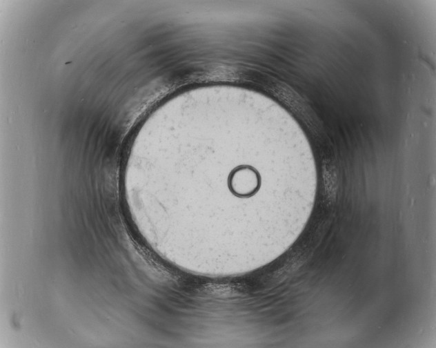 X0000102780534200809021054