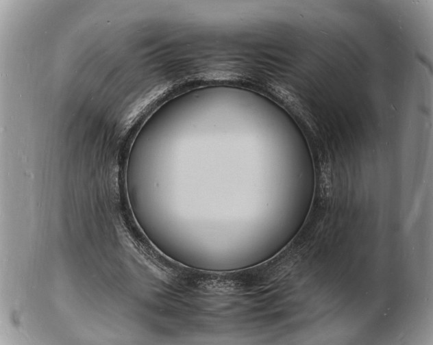 X0000102780535200809021054