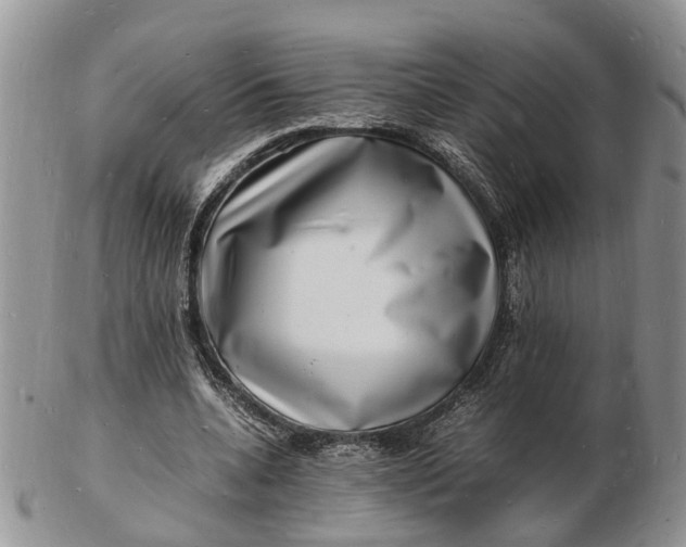 X0000102780536200809021054