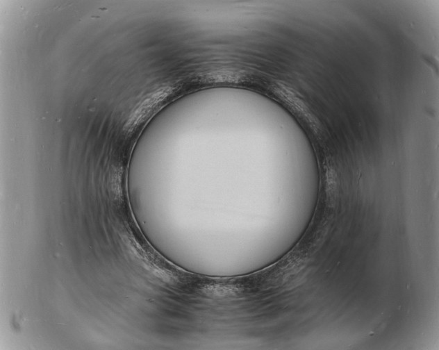 X0000102780537200809021054