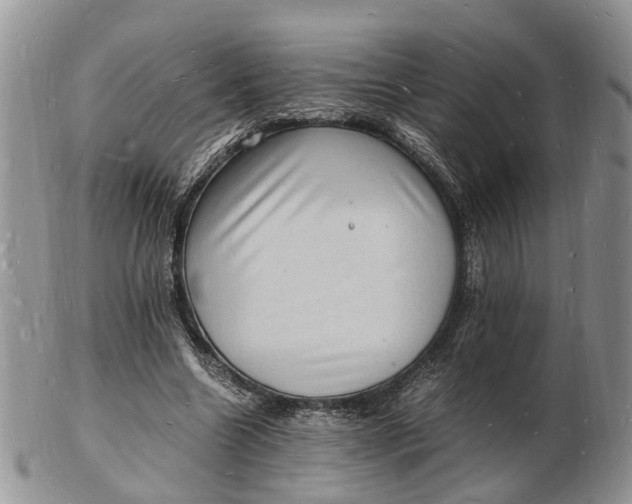 X0000102780538200809021055