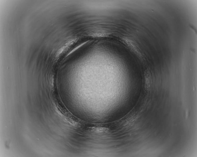 X0000102780539200809021055