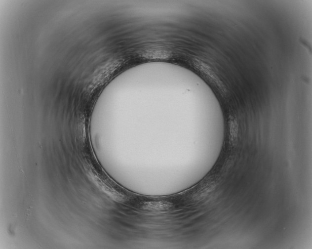 X0000102780541200809021055