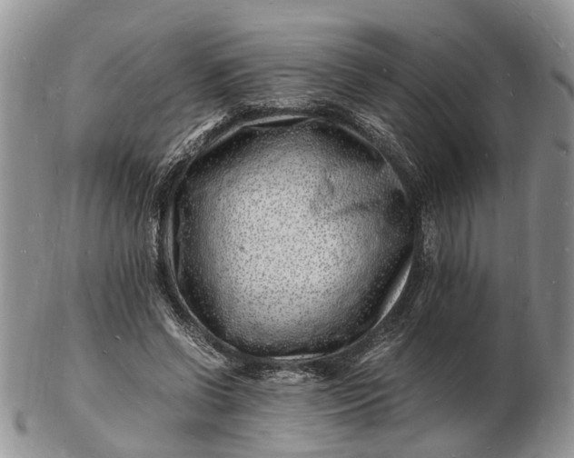 X0000102780542200809021055