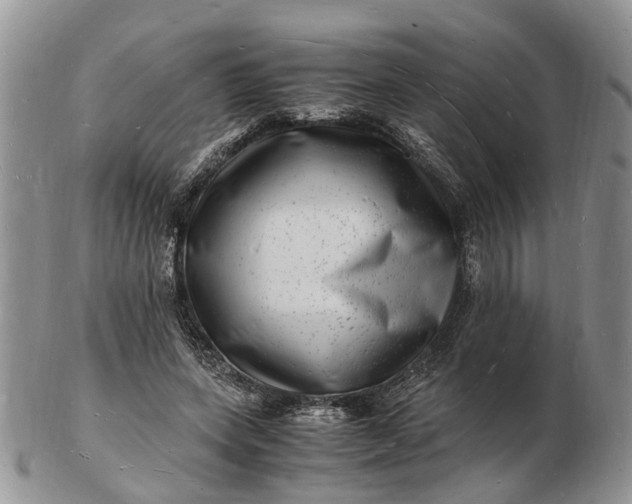 X0000102780543200809021055