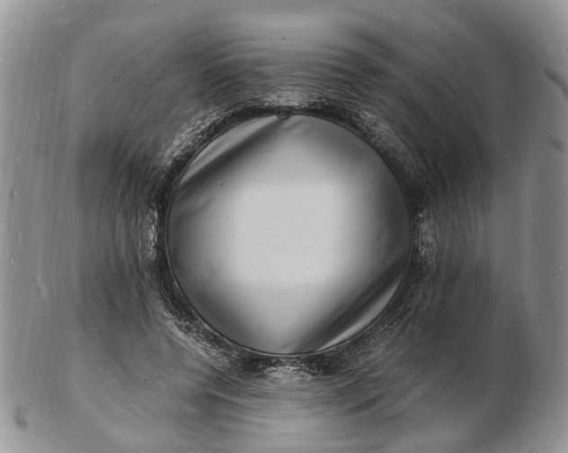 X0000102780544200809021055