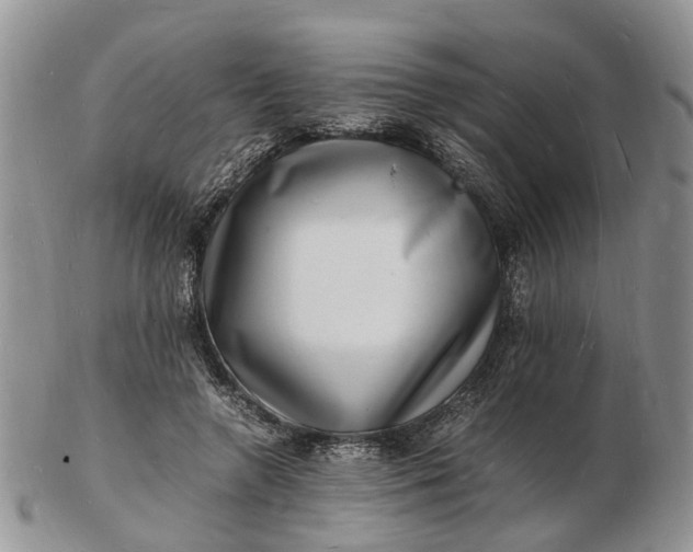 X0000102780546200809021055