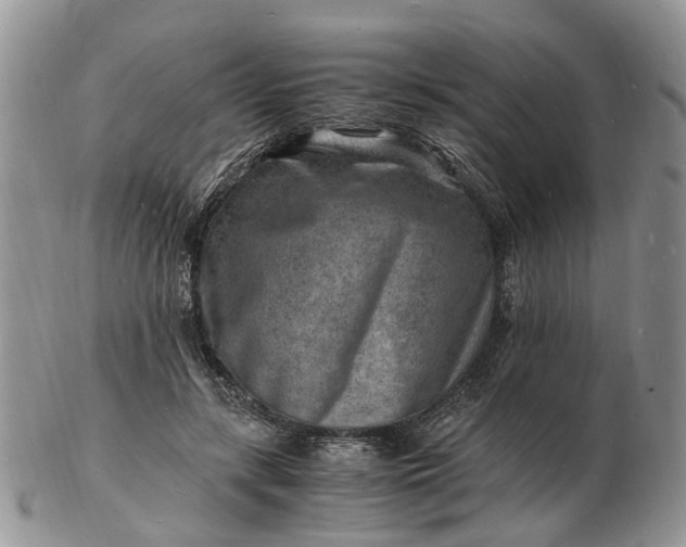 X0000102780547200809021055