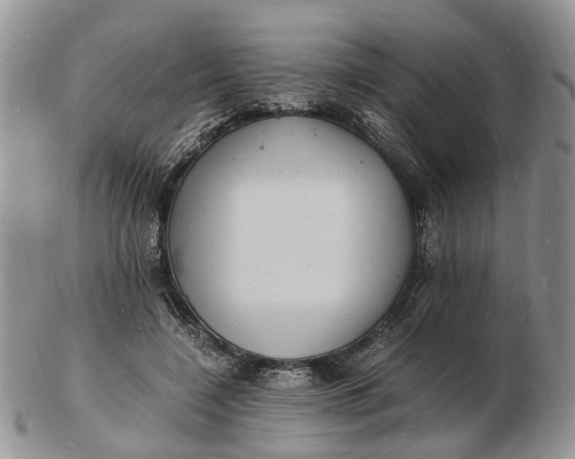 X0000102780548200809021055