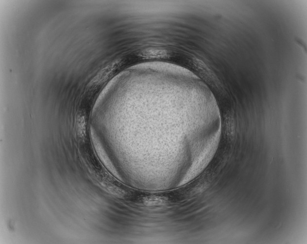 X0000102780549200809021055